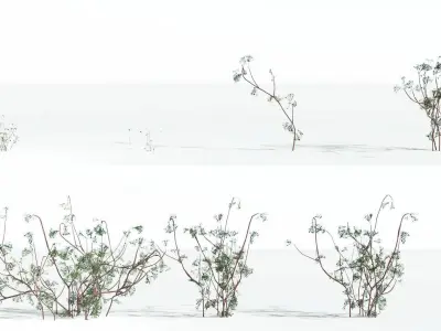 EVERYPlant Baiera LowPoly 1 --14 Models-- Low-poly 3D model