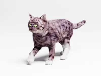 Domestic Cat  3D model