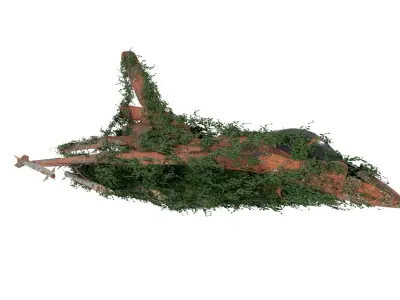 Damaged Rusted Jet 3D model