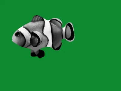 Clownfish Nemo Low-poly 3D model