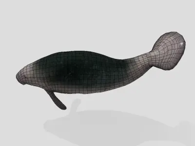 Manatee  Animated Low-poly Low-poly 3D model