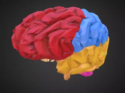 Brain Color Low Polygon Art Medical Low-poly 3D model