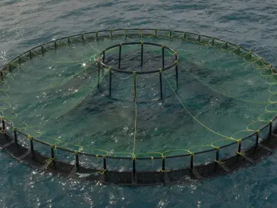 Fish Farm Net Ocean Sustainable Octane 3D model