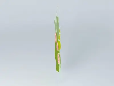 Graf Zeppelin 2 color panel Free 3D model