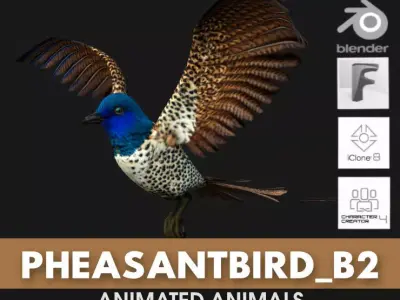 PheasantBird B2 3D model