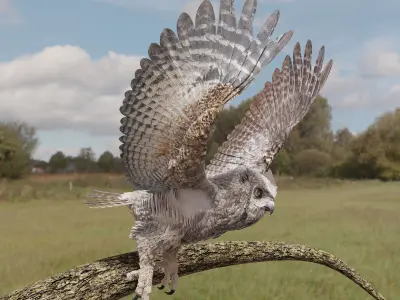 Great Horned Owl - Blender Low-poly 3D model