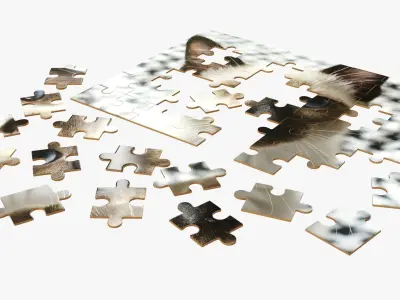 48-piece jigsaw puzzle 3 3D model