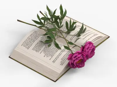 Open Book with Two Purple Peony Flowers 3D model