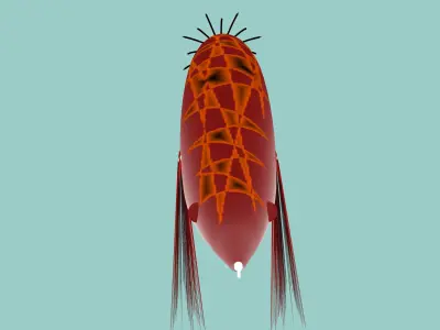 the killer of squid jig Low-poly 3D model