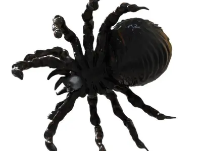 Spider Creature  3D model