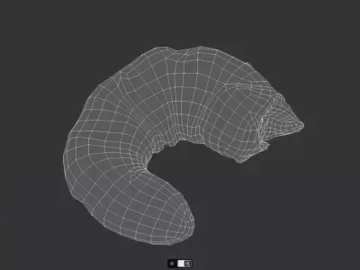 Shrimp Low-poly 3D model