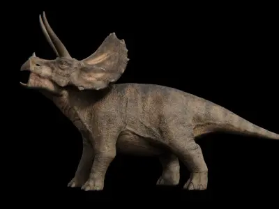 Triceratops dinosaur Low-poly 3D model
