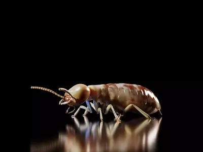 Termite PBR 3D Model 3D model