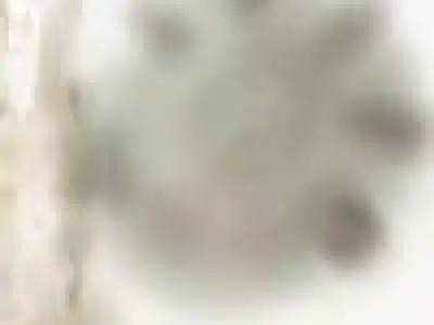 Carnival Tent 3D model