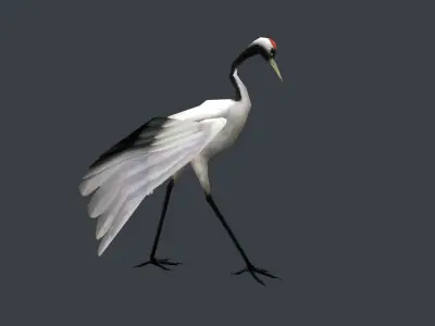 low-poly animated crane bird Low-poly 3D model