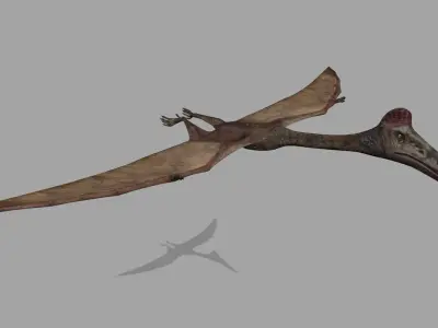 Quetzalcoatlus HD - 3d animated model Low-poly 3D model