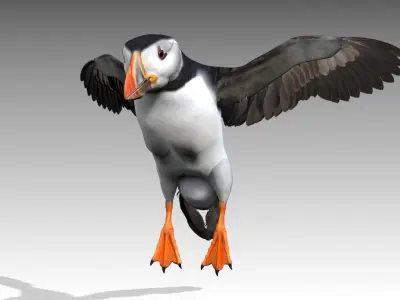 Puffin bird Low-poly 3D model
