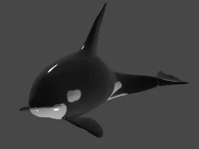 Killer Whale -Orca- rigged and ready for animating 3D Model Low-poly 3D model