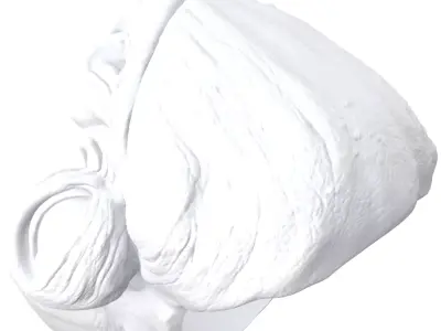 Admiral Raddus Headsculpt for Action Figures 3D print model