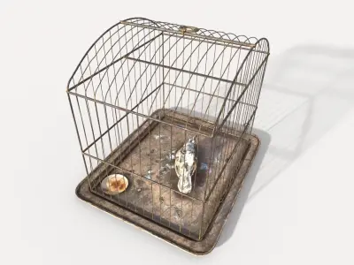 Old Bird Cage and  Bird 3D model
