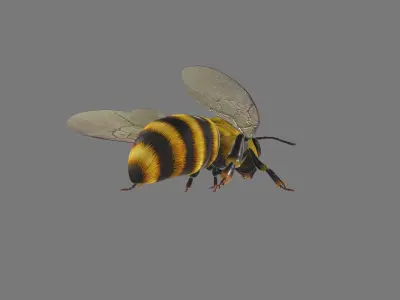 animated bee Low-poly 3D model