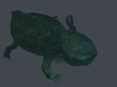 Axolotl 3D model fish Low-poly 3D model