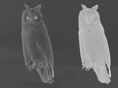 Photorealistic Long Eared Owl Low-poly 3D model