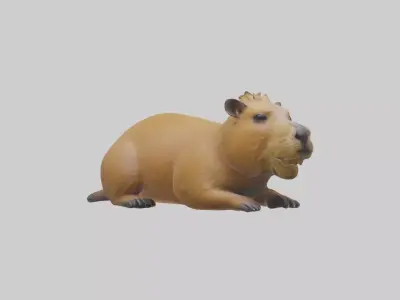 Capybara Model 1 Low-poly 3D model