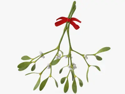 Mistletoe with Red Bow 2 3D model