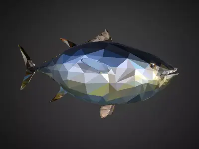 Tuna Low Polygon Art Ocean Fish Low-poly 3D model