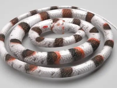 Rubber Snake 3D model
