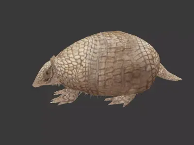 Holmesina armadillo Low-poly 3D model