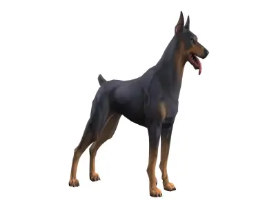 Doberman Dog Low-poly 3D model Low-poly 3D model