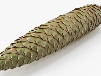 Green Pine Seed Cone 3D model