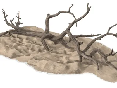 Dry Old Tree on Dune Surface 3D model
