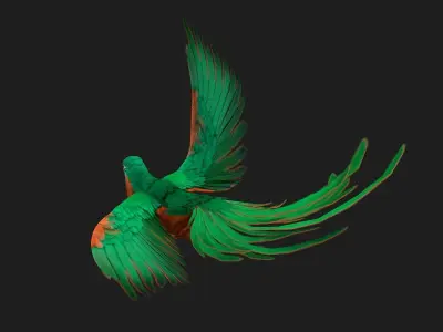 Parrot A2 3D model