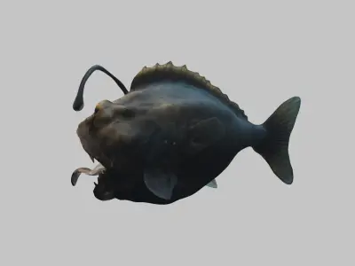 Humpback anglerfish Deep-sea fish Abyss Abyssal Low-poly 3D model