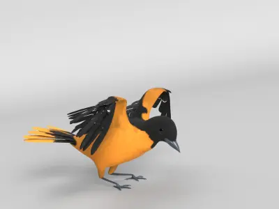 Animated Balitmore Oriole Bird 3D model