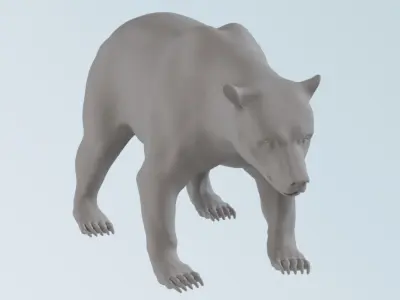 Bear - grizzly 3D model