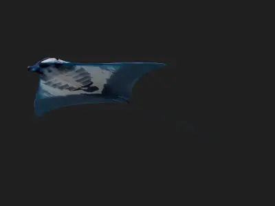 Devilfish Low-poly 3D model