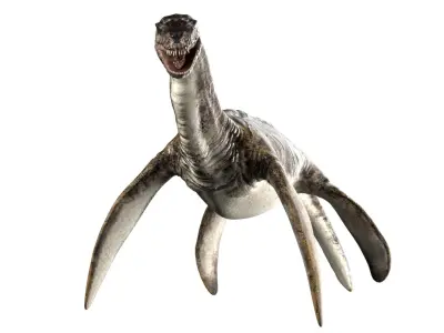Plesiosaurus (Rigged) 3D model
