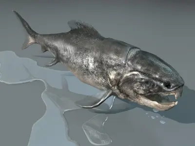 Dunkleosteus fish Low-poly 3D model