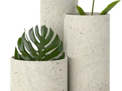 indoor plant set 01 Free 3D model