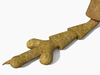 Anthonomus Pomorum 3D model