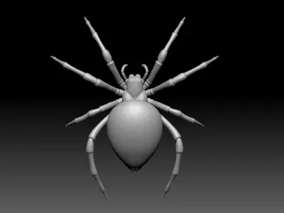 Garden Spider Low-poly 3D model