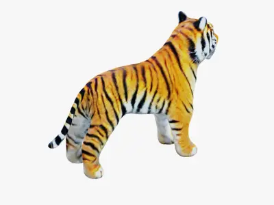 Tiger Free 3D model