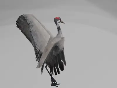 Crane package Low-poly 3D model