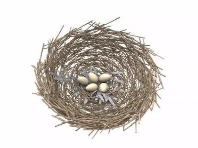 Bird nest v2 3D model