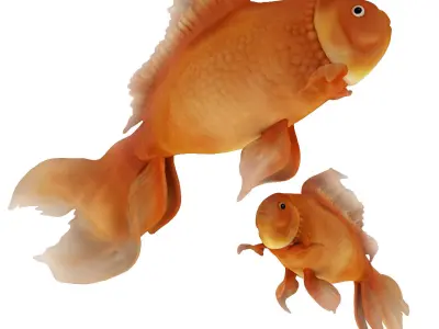 Need a talk 3D model