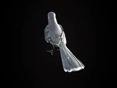 Mockingbird Low Poly Rigged with high quality texture Low-poly 3D model